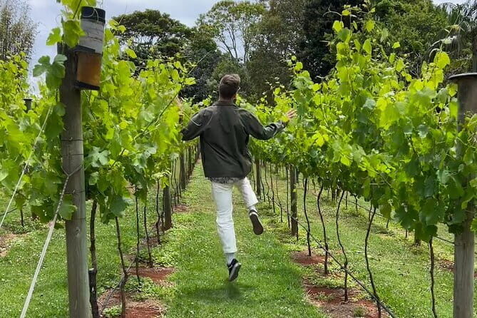Deluxe Winery Tour to Tamborine Mountain (Mon-Tues) - A Detailed Look at the Tamborine Mountain Winery Tour