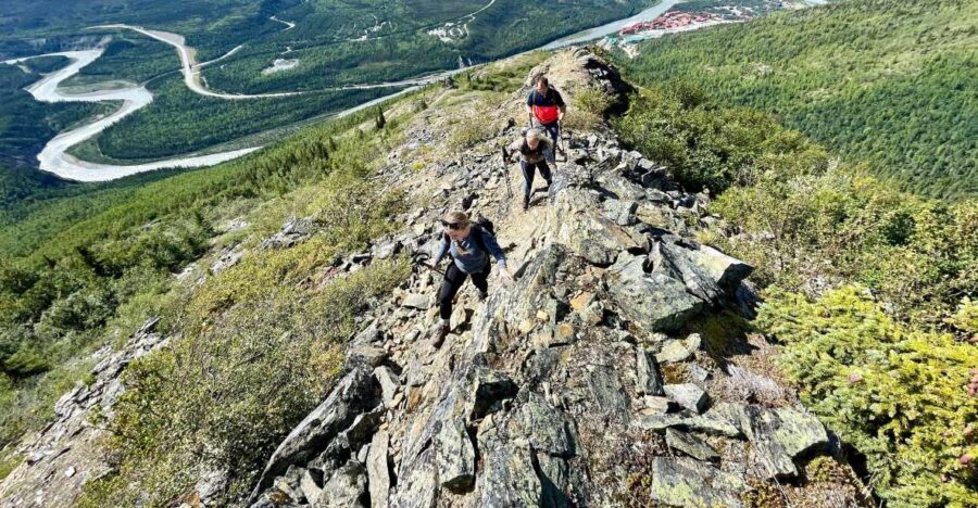 Denali: 5 Hour Guided Into The Mountains Hiking Tour - The Sum Up: Who Benefits Most?