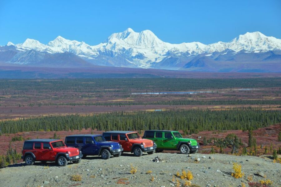 Denali Highway Jeep Excursion - Authentic Wilderness with Expert Guides