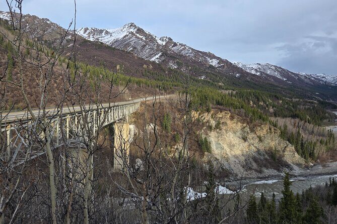 Denali National Park Shuttle - Final Thoughts: Is This the Right Choice for You?