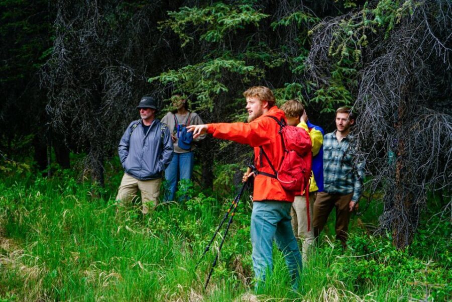 Denali: Naturalist Walking Tour in Denali National Park - Who Will Love This Tour?