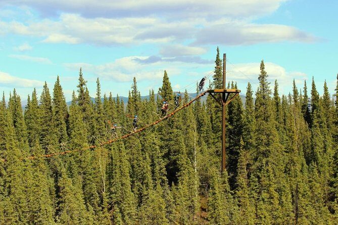 Denali Park Zipline Adventure - The Course: Bridges, Ziplines, and Tree Tops