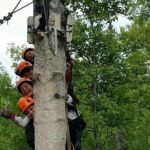 Denali Zipline Tour in Talkeetna, AK - Safety and Comfort