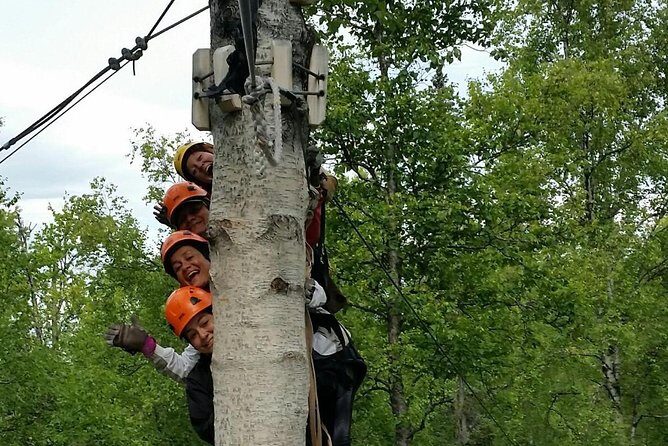 Denali Zipline Tour in Talkeetna, AK - Safety and Comfort