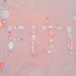 Denarau Hotels/ Resorts to Natadola Beach Round Trip - The Value of This Tour