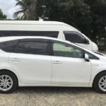 Denarau Hotels to Nadi Airport (Private Departure Transfer) - What To Expect During Your Transfer