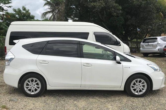 Denarau Hotels to Nadi Airport (Private Departure Transfer) - What To Expect During Your Transfer