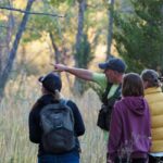 Denver: Birding Basics and Beyond - Why This Tour Offers Good Value