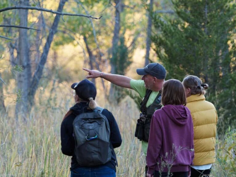 Denver: Birding Basics and Beyond - Why This Tour Offers Good Value