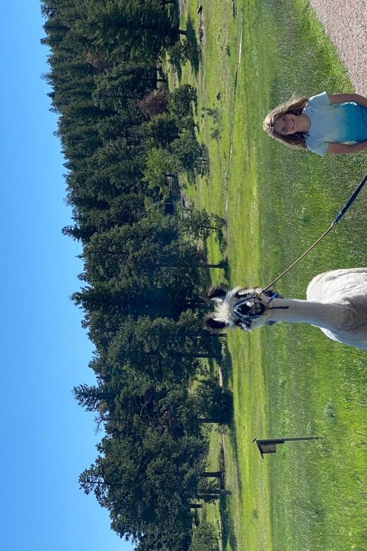 Denver: Llama Hike in the Rocky Mountains - Who Will Love This Tour?