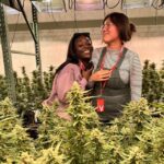 Denver: Private Luxury Cannabis Tour - Final Thoughts