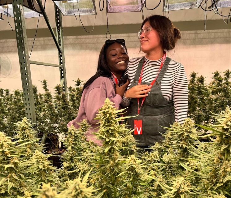 Denver: Private Luxury Cannabis Tour - Final Thoughts