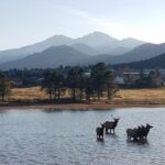 Denver: Rocky Mountain National Park Tour with Picnic Lunch - Exploring the Rocky Mountain National Park Tour in Depth