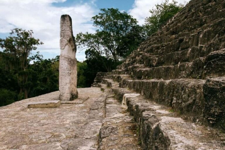 Desde Palenque: Zona Arqueológica Calakmul - A Deep Dive into the Calakmul Tour