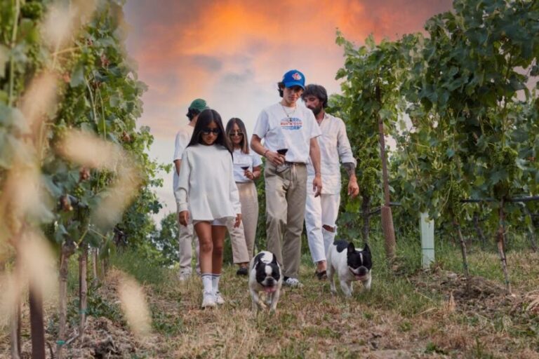 Desenzano: Lugana Wine-Tasting and Vineyard Tour - A Detailed Look at the Experience