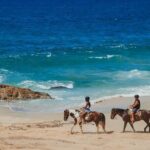 Desert and Beach Horseback Riding Experience in Cabo - The Authentic Mexican Experience