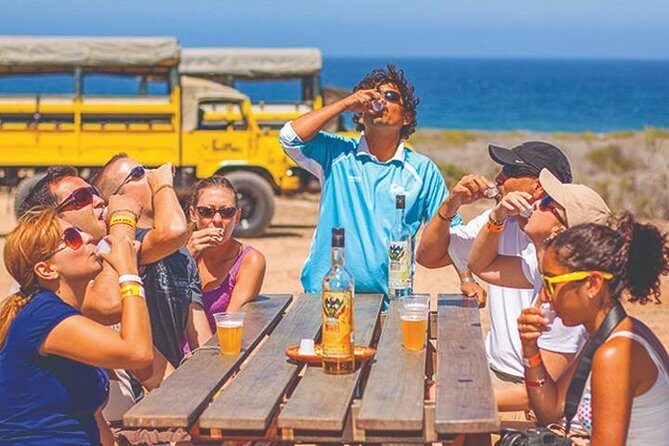 Desert & sea, Camel Safari tour in Los Cabos with lunch - The Coastal Path and Mexican Cuisine