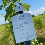 Designated Driver For Wine Tours - Traverse City - The Breakdown: How This Tour Works and What You Can Expect