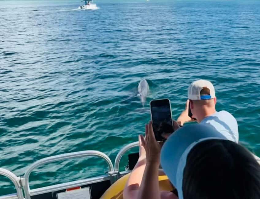 Destin: 90-Minute Boat Ride With Cruise Destin Bay - Who Should Consider This Tour?
