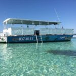 Destin: Crab Island Catamaran Tour with Dolphin Watching - Final Thoughts
