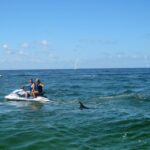 Destin: Crab Island Dolphin Watching Jet Ski Tour - Who Would Love This Tour?
