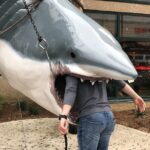 Destin Dash Scavenger Hunt - A Deep Dive into the Destin Dash Scavenger Hunt