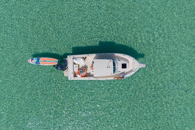 Destin Dolphin and Snorkeling Adventure Speedboat Tour - An In-Depth Look at the Destin Dolphin and Snorkeling Speedboat Tour