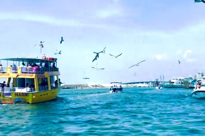 Destin Harbor Boat Ride and Dolphin Watching on the Hopper - Who Should Consider This Tour?