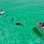 Destin Jet Ski Dolphin Tour with Gilligan's Watersports - Key Points