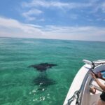 Destin: Private Morning Dolphin Cruise - Final Thoughts