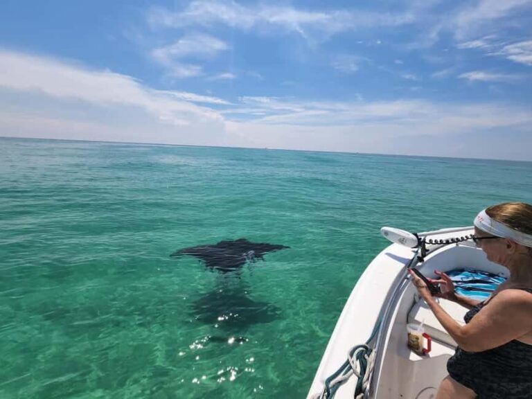 Destin: Private Morning Dolphin Cruise - Final Thoughts