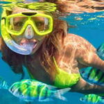 Destin: Snorkeling Cruise with 2 Stops and Dolphin Watching - A Deep Dive into the Experience