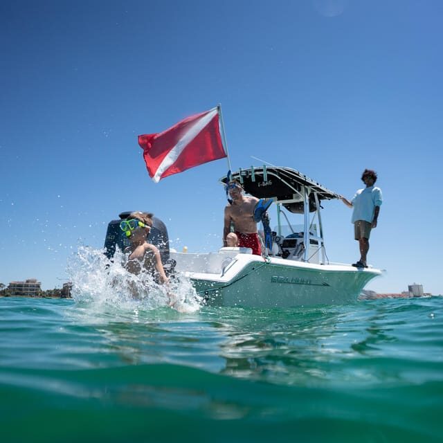 Destin: Snorkeling, Dolphins, and Crab Island - Practical Details and What Makes It Valuable