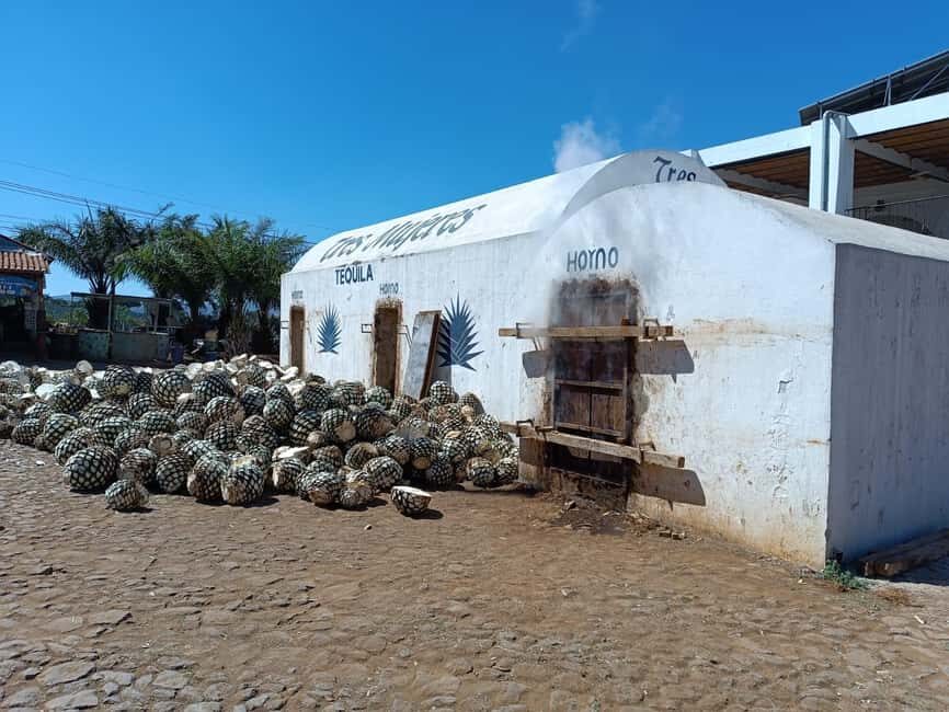 Destino Tequila: Experiencia Premier Privada - Practical Details and Value