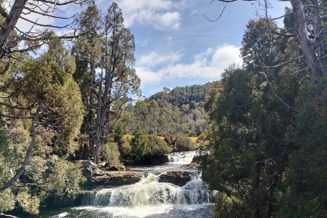 Devonport Cradle Mt Sightseeing tour - Is This Tour Worth It?