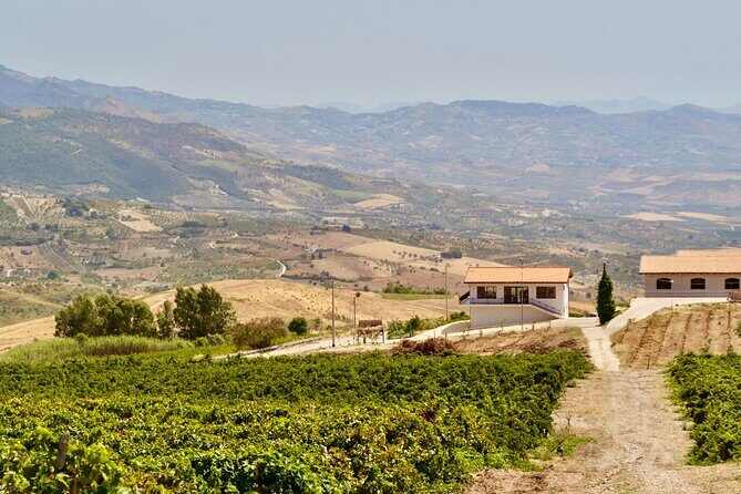 Di Giovanna Winery Tour & 5 Wine Tasting - Final Thoughts: Is It Worth It?
