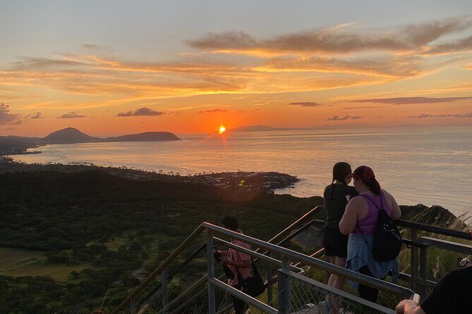 Diamond Head Hiking Experience with Roundtrip Transportation - Authentic Perspectives from Past Participants