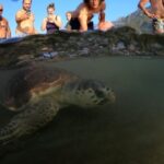 Didim: Dalyan Tour with Turtle Beach, Mud Bath & Lunch - Final Thoughts