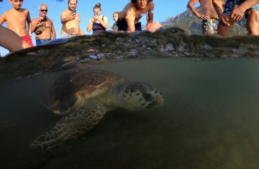 Didim: Dalyan Tour with Turtle Beach, Mud Bath & Lunch - Final Thoughts