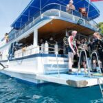 Didim: Scuba Diving Experience w/Hotel Pickup & Lunch - In-Depth Review of the Didim Scuba Tour