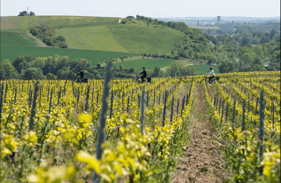 Dijon/Beaune: Full day Ebike Burgundy tour, tastings & lunch - The Value of This Tour