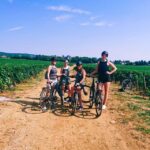 Dijon: Bike tour and Tastings in the Vineyards of Burgundy - Final Thoughts