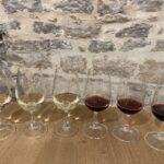 Dijon: Cheese and Burgundy Wine Tasting Workshop - An In-Depth Look at the Experience
