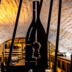 Dijon: La Cave du Palais Burgundy Wine Tasting Experience - Final Thoughts