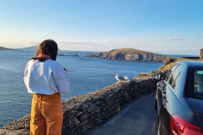 Dingle: Hour Slea Head Drive Tour 4hr - Personal Chauffeur Guide - An In-Depth Look at the Dingle Slea Head Drive Tour