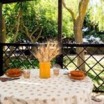 Dining Experience at a local's Home in Stresa with Show Cooking - Authenticity and Value