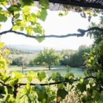 Dining Experience in a 13th-Century Monastery in Florence - Who Should Consider This Experience