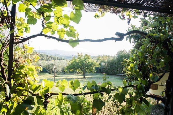 Dining Experience in a 13th-Century Monastery in Florence - Who Should Consider This Experience