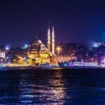 Dinner Cruise with Turkish Show in Istanbul - The Experience: Food, Entertainment, and Atmosphere
