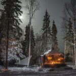 Dinner with Northern Light hunt in Rovaniemi - Authentic Insights from Travelers
